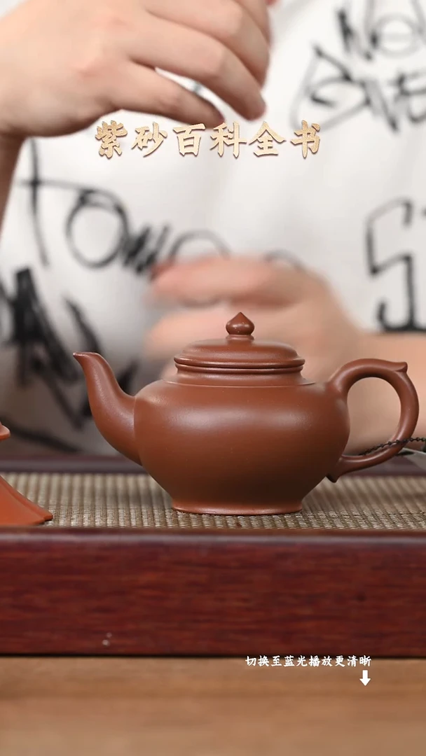 茶壶紫砂EF17425谭菲琳-笑樱