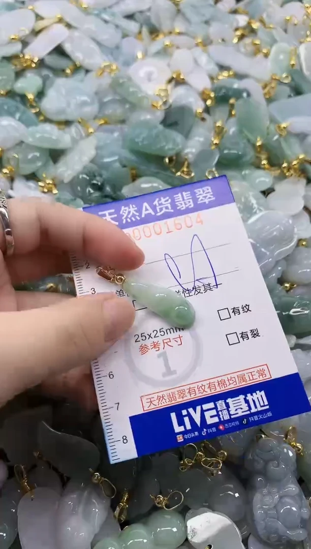 颈饰未镶嵌翡翠天然A货翡翠