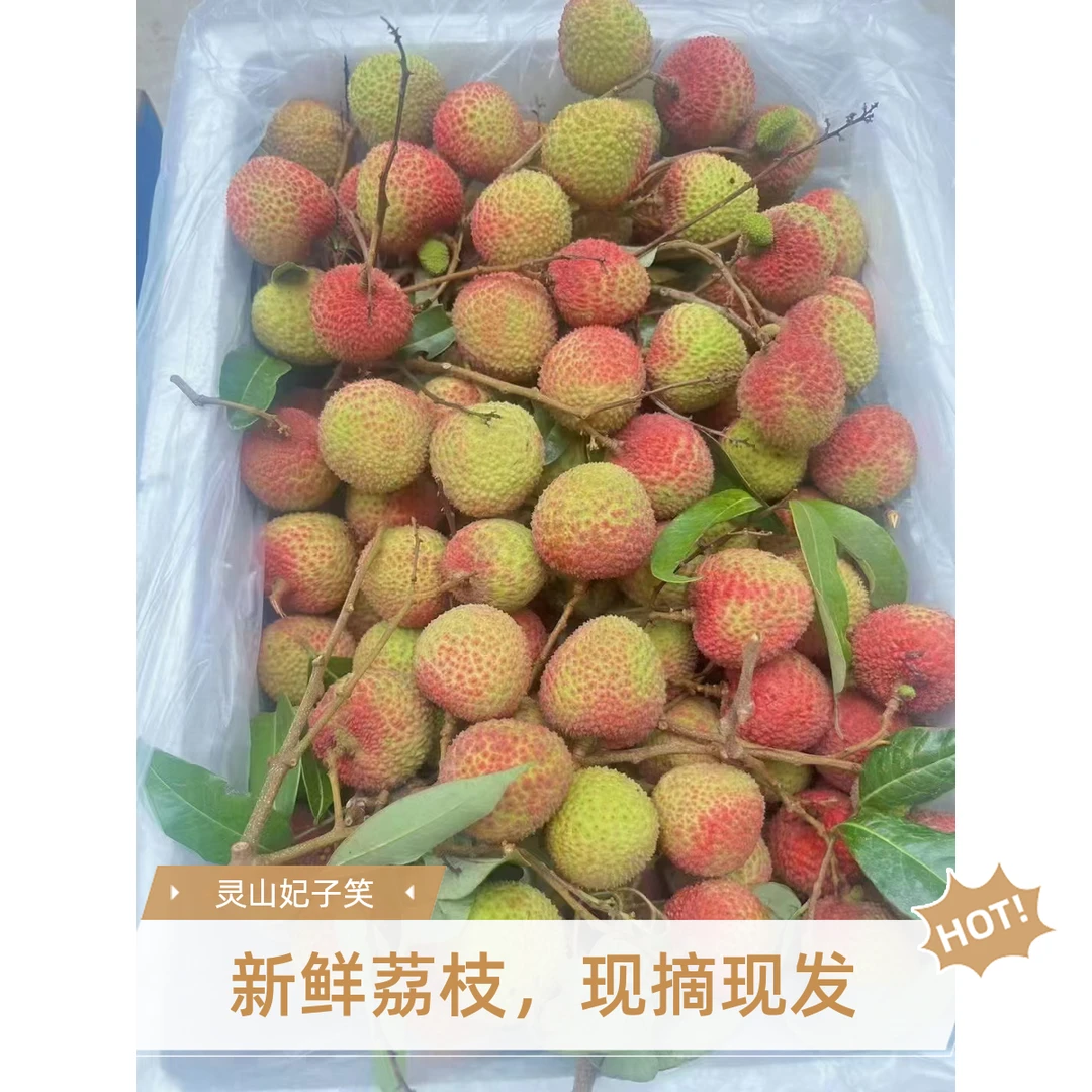 （正宗）灵山妃子笑荔枝顺丰空运包邮果园现摘现卖新鲜礼盒（1）