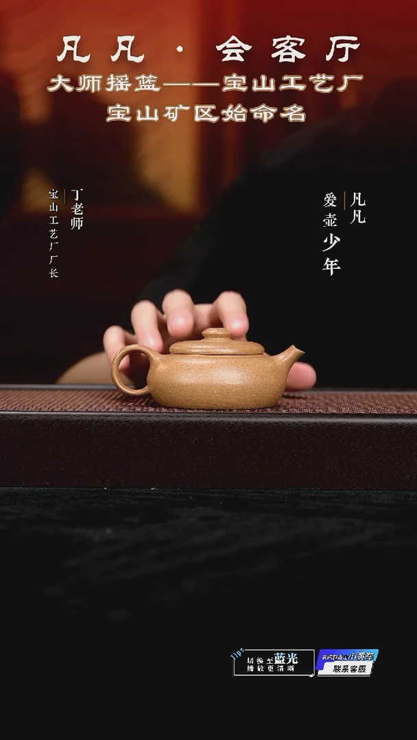 茶壶紫砂DL41 梅佳 朴合黄降坡110cc