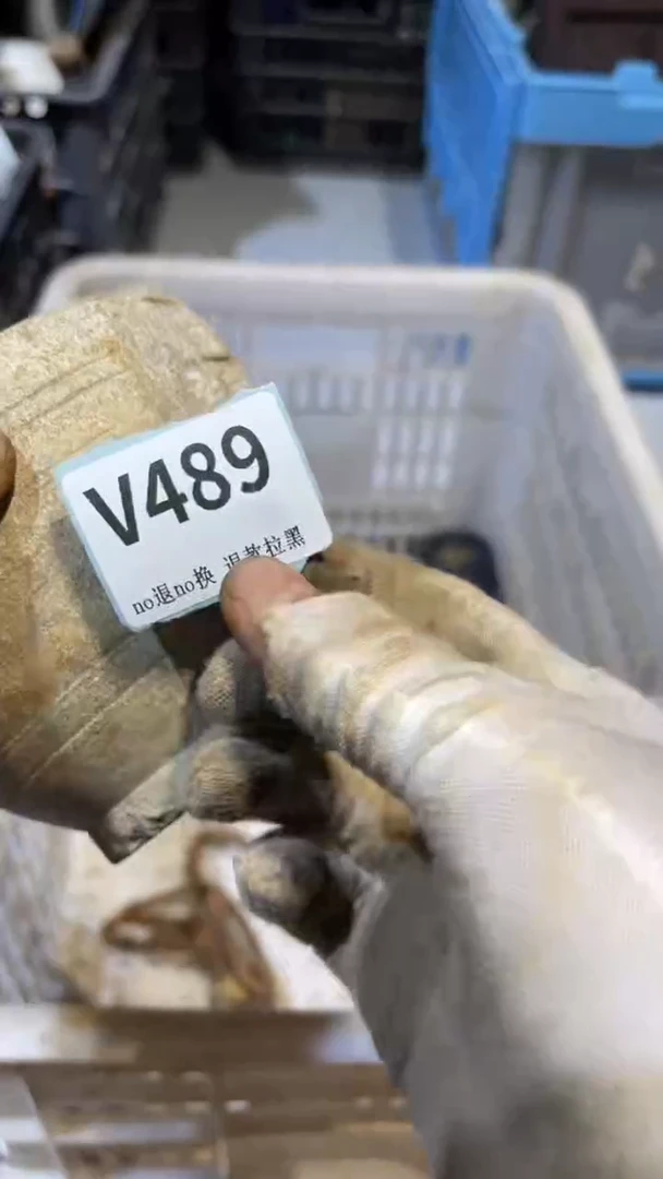 陶瓷〓**〓跳跳直播链接火爆热卖