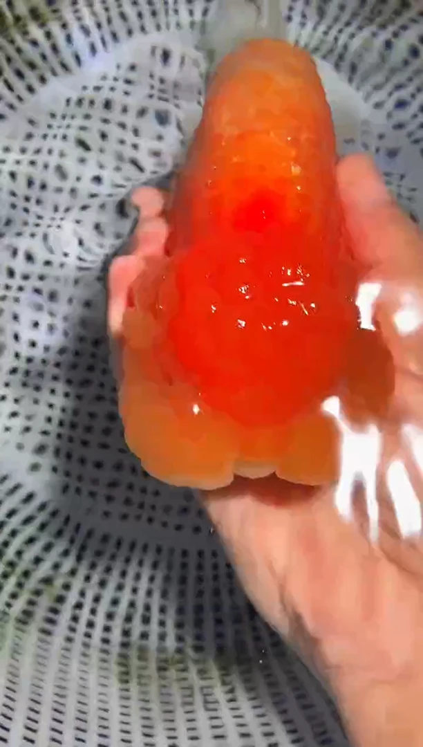 金鱼（运费自理，马印灯照射）福州追鱼兰寿金鱼