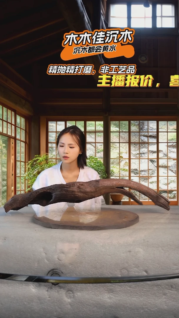 s****。木木佳鱼缸造景沉木-511