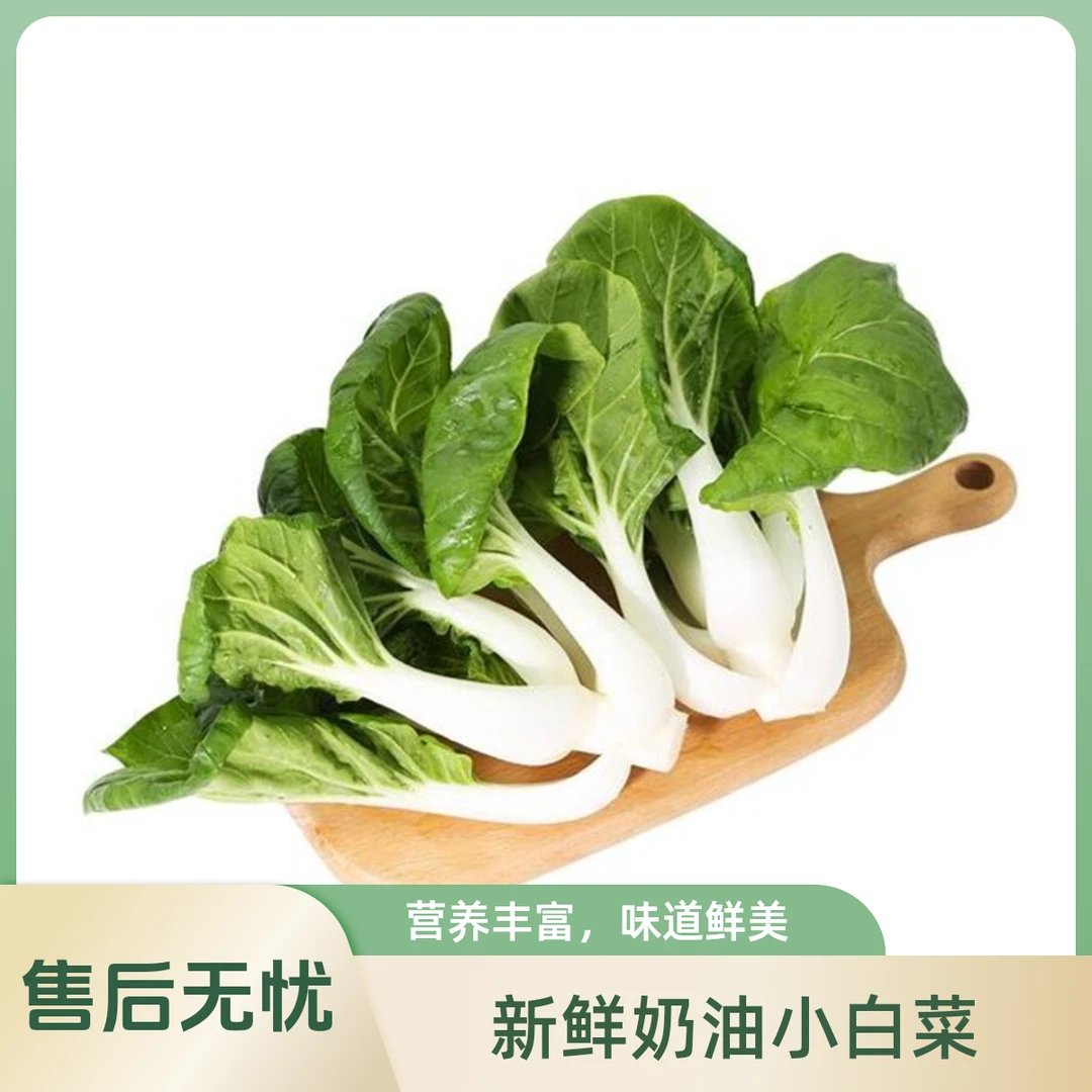 东升奶白苗 约250g