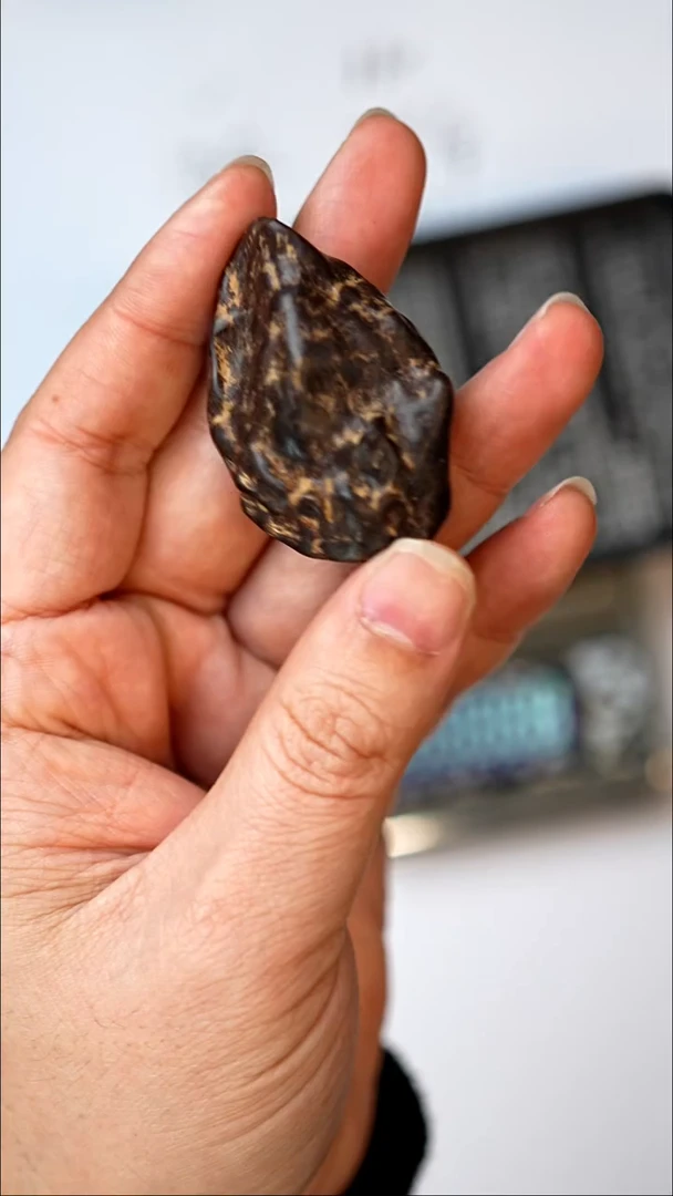 沉香手串天然野文莱沉水海胆之星 瘤疤吊坠 13克+