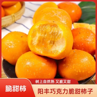 【王路军】黄河脆甜柿子阳丰巧克力脆甜柿现摘应季水果树上熟4.