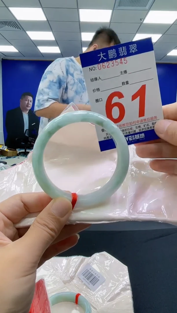 未镶嵌手镯翡翠AAAAAAAAAA