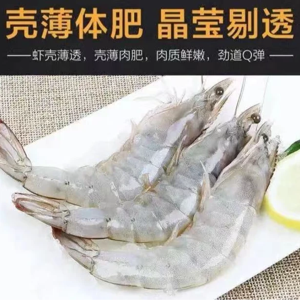海捕虾4斤（ 1斤15-25只 ）到手4斤