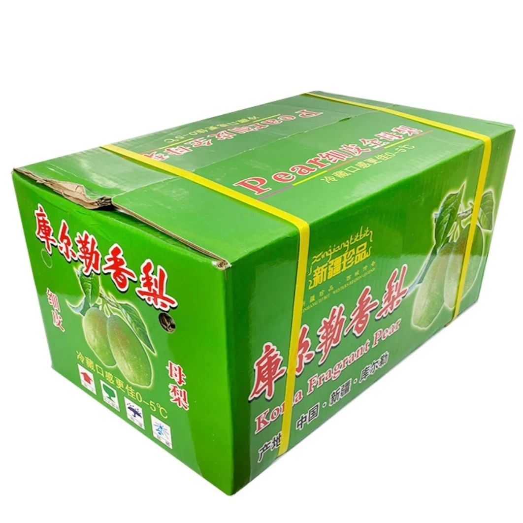 【新年三宝~3件】