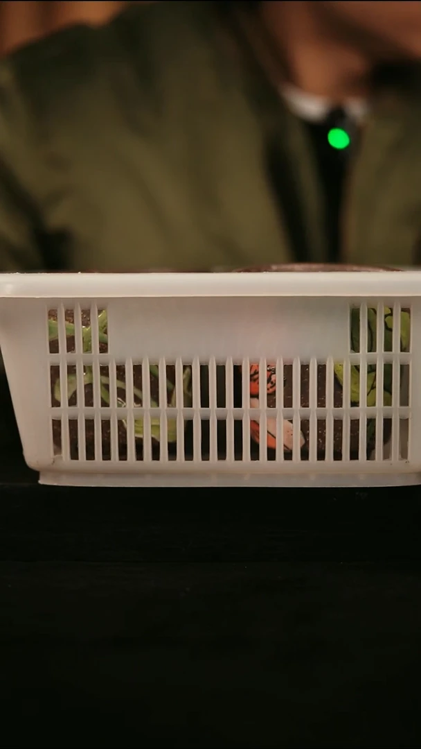 其他葑*649遇瓷手作同款