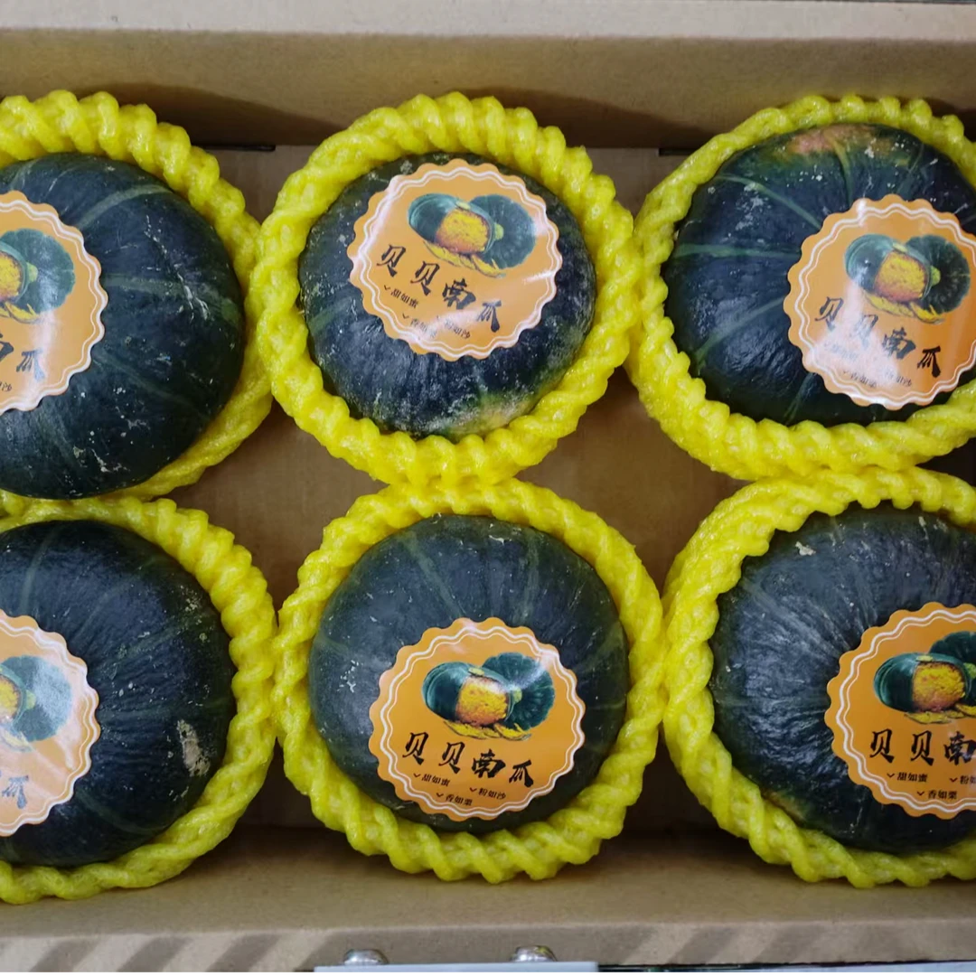 果切新疆贝贝南瓜 1200g/ 盒 <11.4>