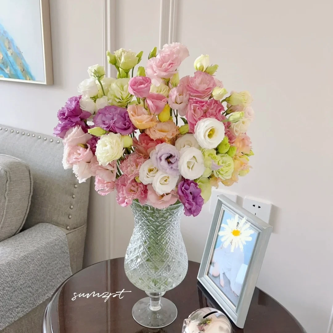 花福十花边新闻-洋桔梗大扎--2单包 邮-鲜花批发直播