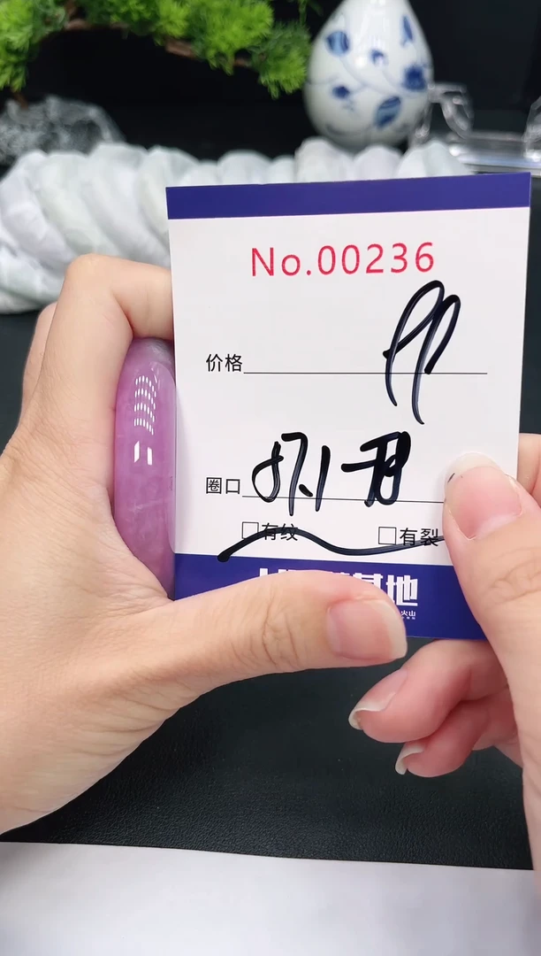 未镶嵌手镯翡翠236