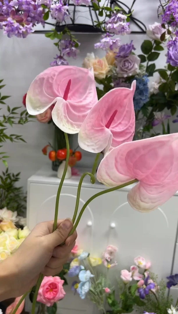 老*3枝粉色掌