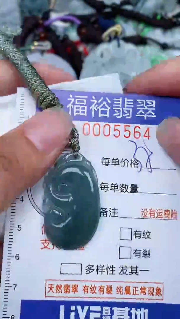 翡翠未镶嵌颈饰...0005564