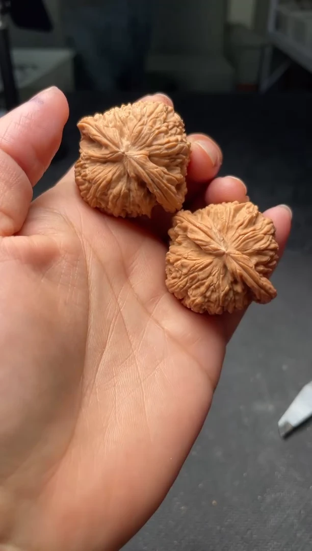 把件文玩核桃w199  白狮子  39