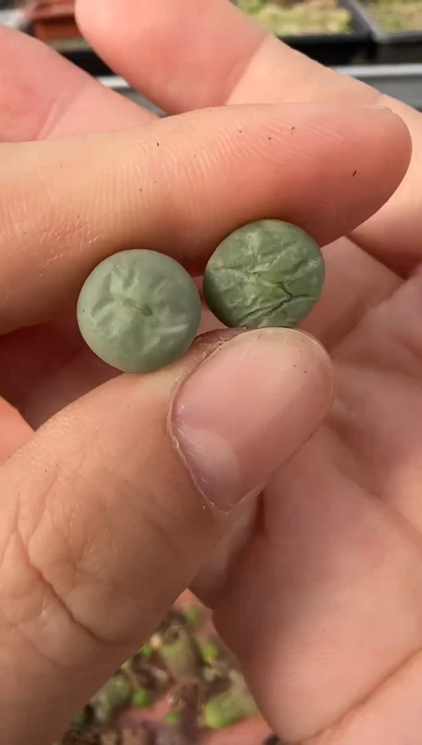 【闪购商品】13-45