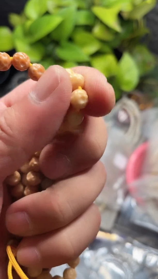 星月菩提手串海南星月菩提《Q001》7X7龙脊手持