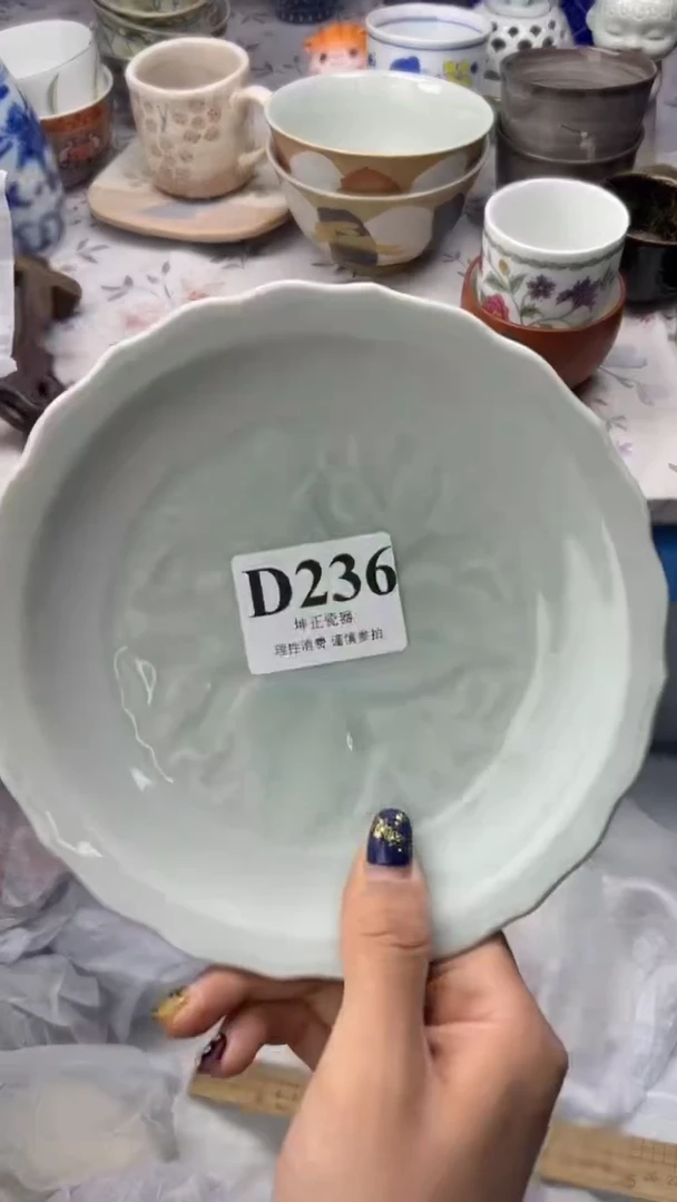 无          D236
