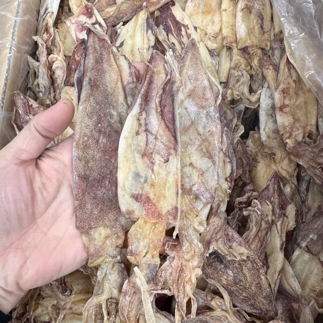 D福建惠安本港索管大管食用新嫩美味自晒由鱿鱼管 干货250g500g