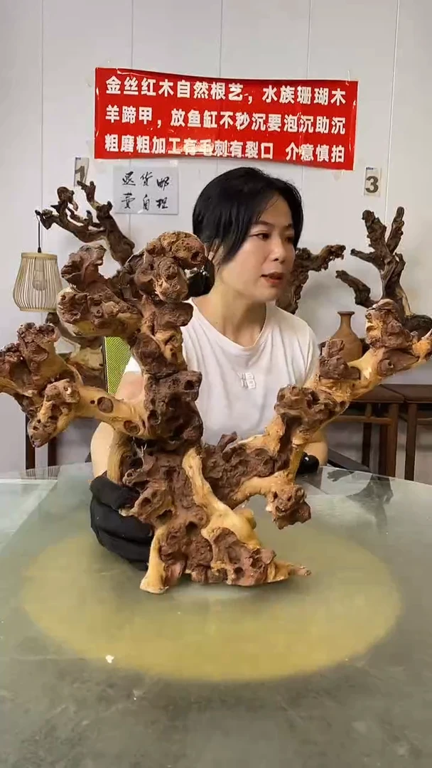 香榧木金丝红木 羊蹄甲