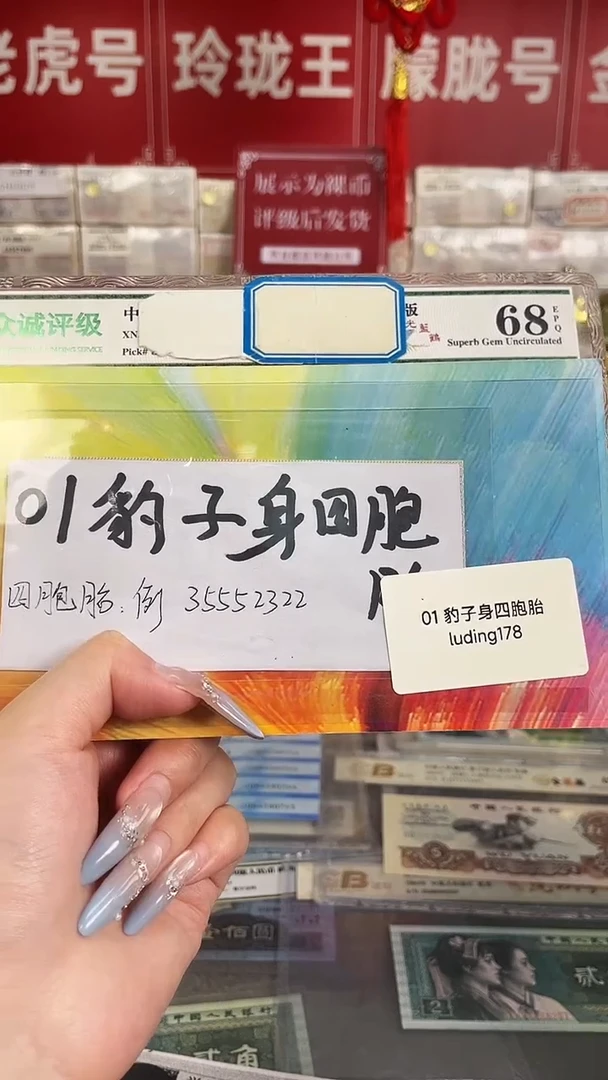 01豹子身四胞胎礼册