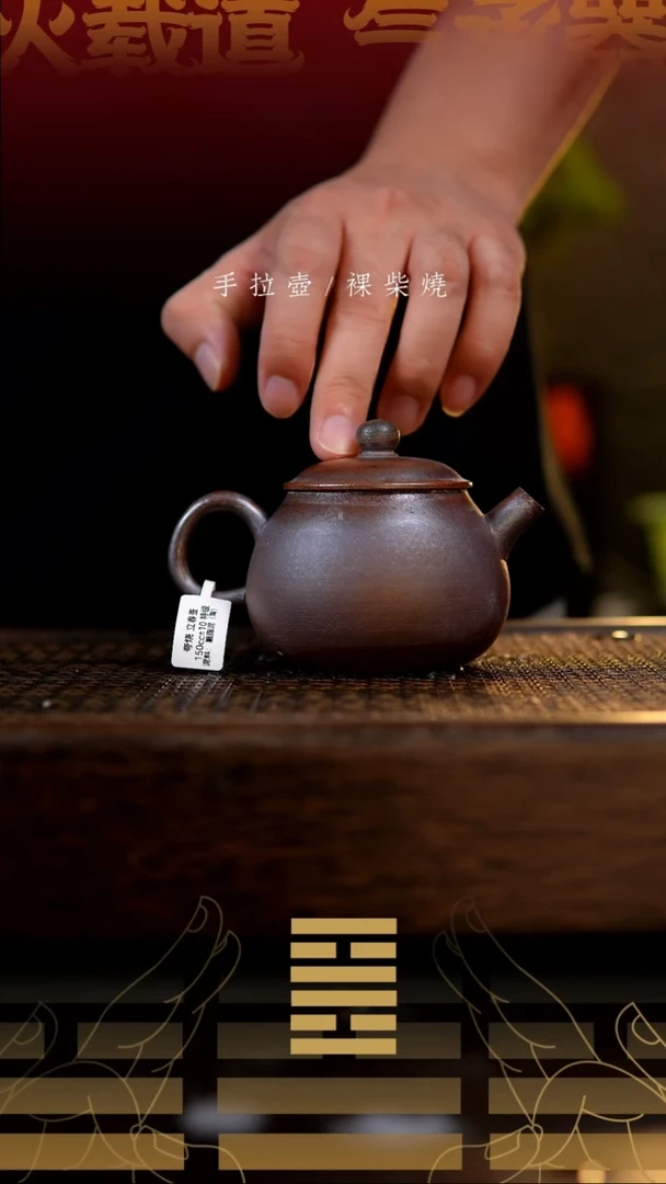 夸烧柴烧立春壶759
