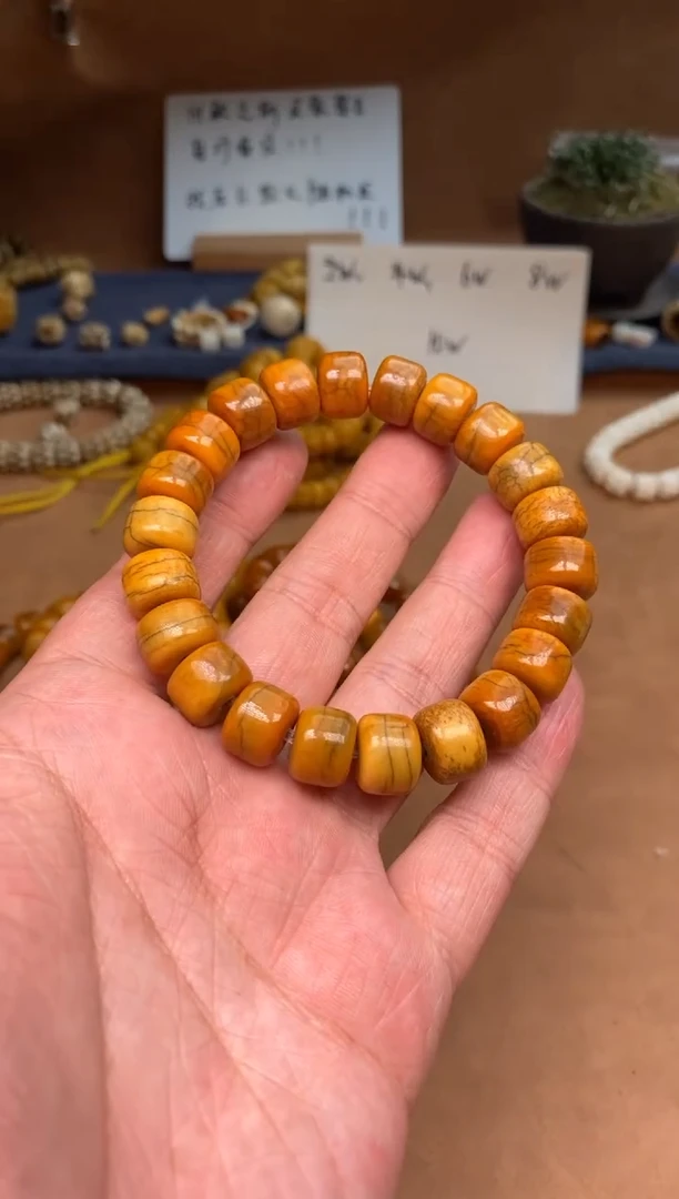 【闪购商品】牛骨其他N001-初见单圈