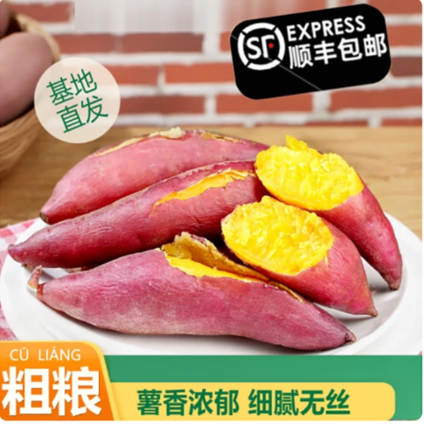 农谷丹峰顺丰包邮新鲜现挖软糯录音香甜小香薯早餐抖音代餐红薯
