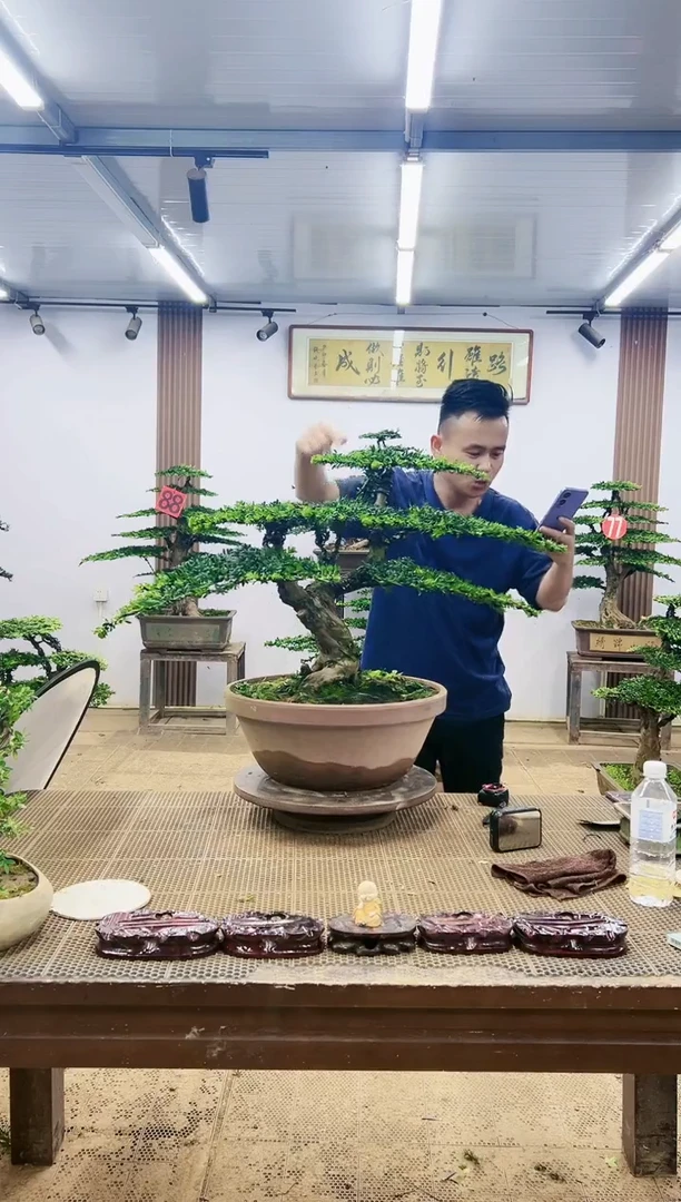 无花朵010000000000000000