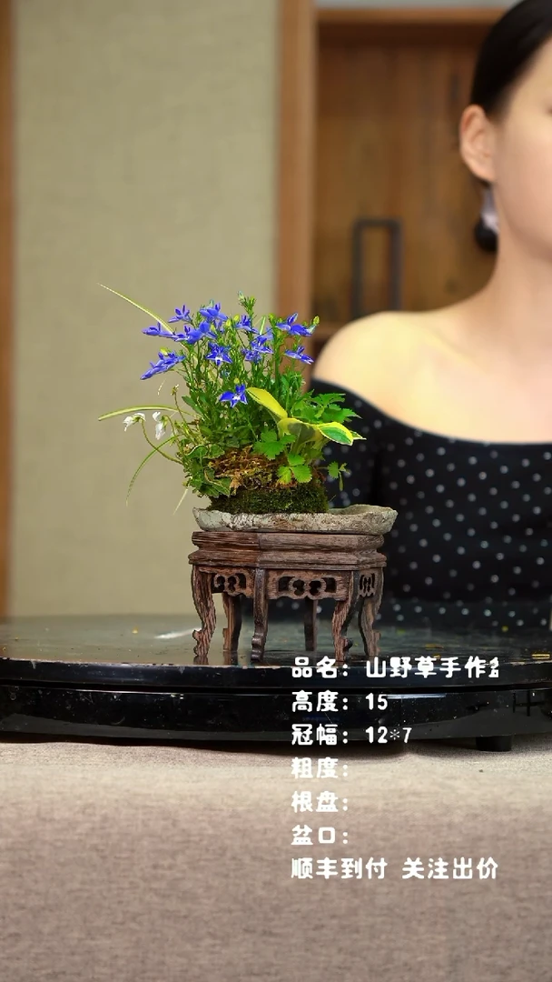 山野草手作盆111111111