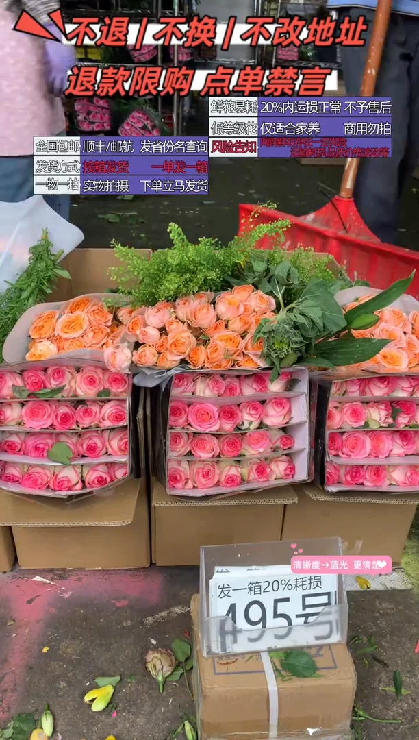 495号♥含20%耗损发一箱