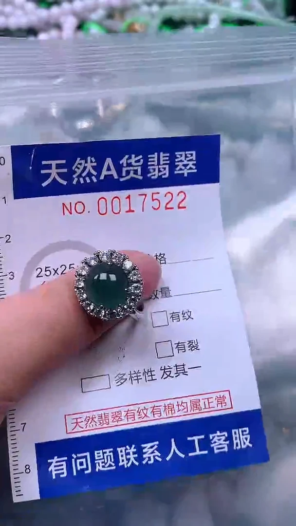 吊坠(赠链)未镶嵌翡翠1