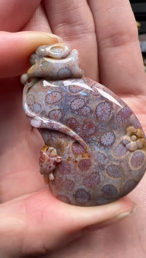 颈饰未镶嵌硅化珊瑚（珊瑚玉）367