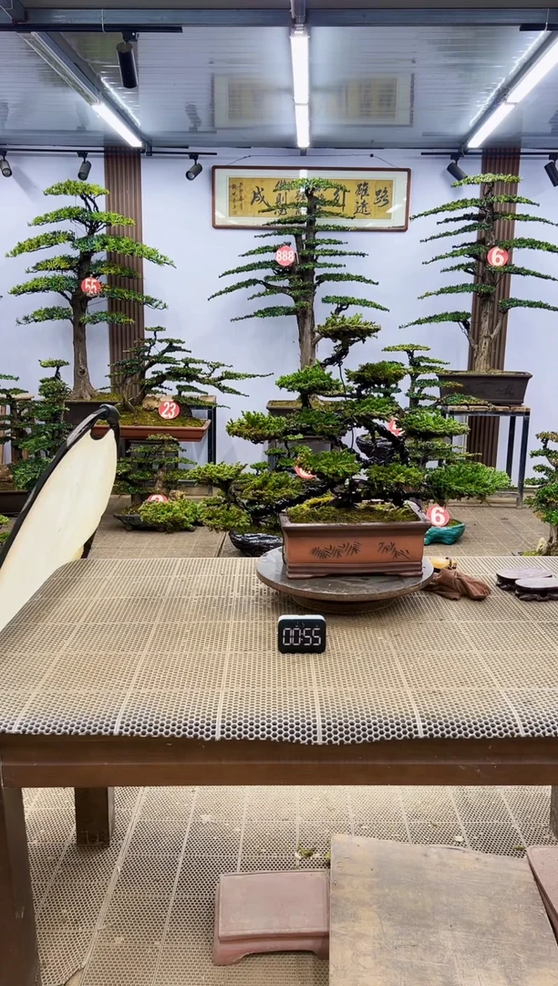 【闪购商品】00000000