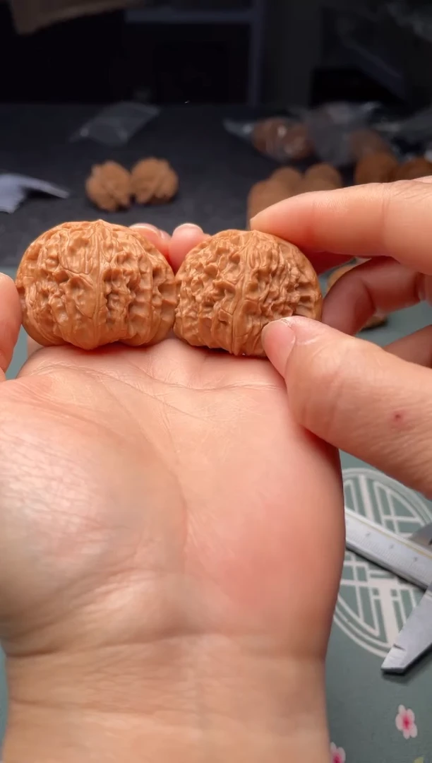 把件文玩核桃w254    白狮子 42尺