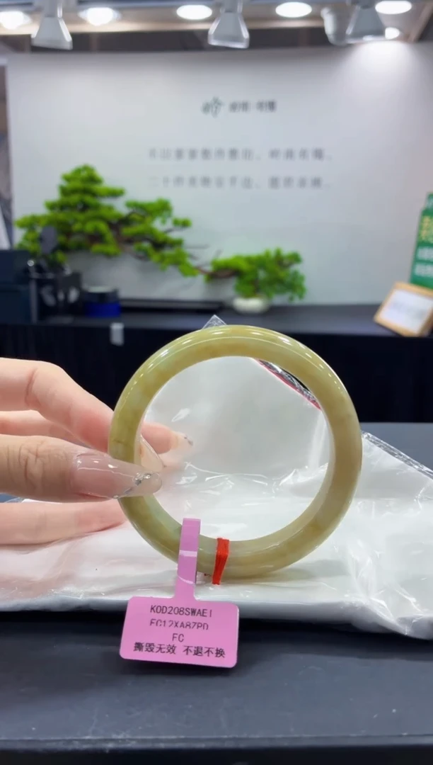 未镶嵌手镯翡翠3