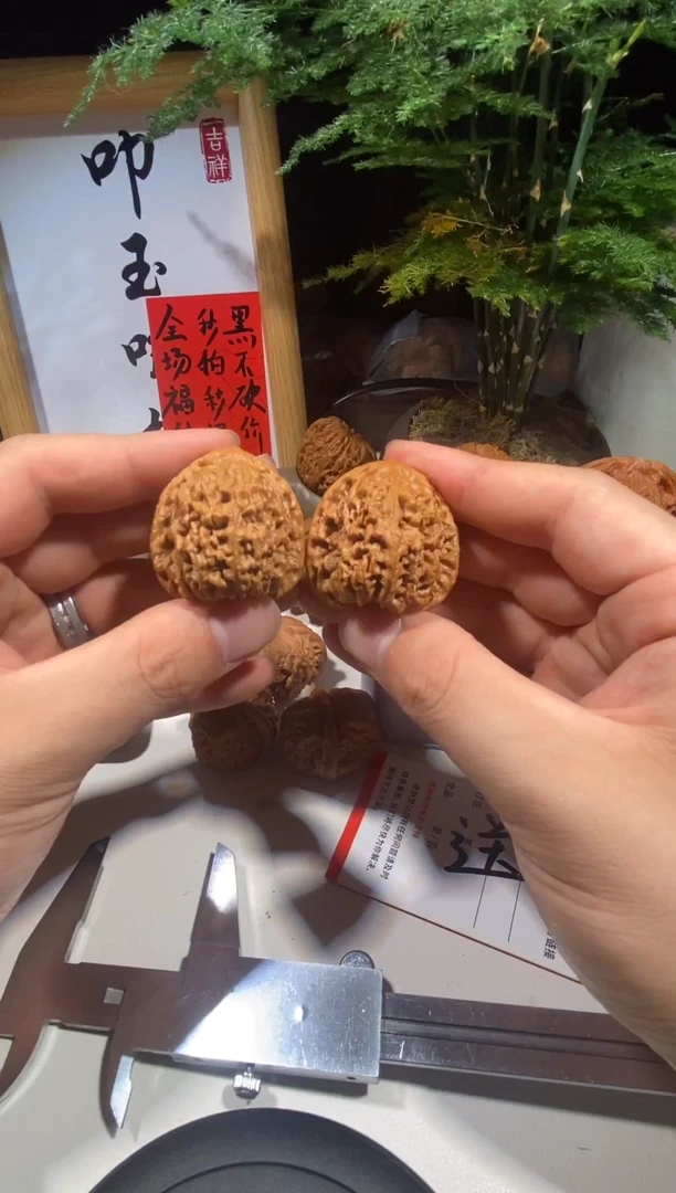 文玩核桃把件10号 37全品小三角南疆石