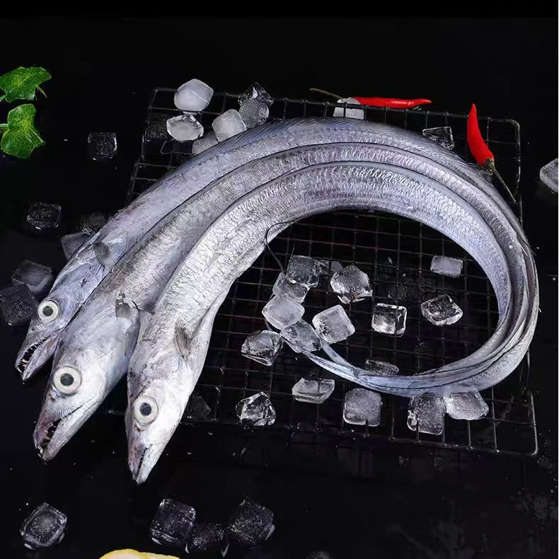 正宗黄海湾四指宽油带鱼 新鲜海捕野生带鱼每条四两左右到手十条！