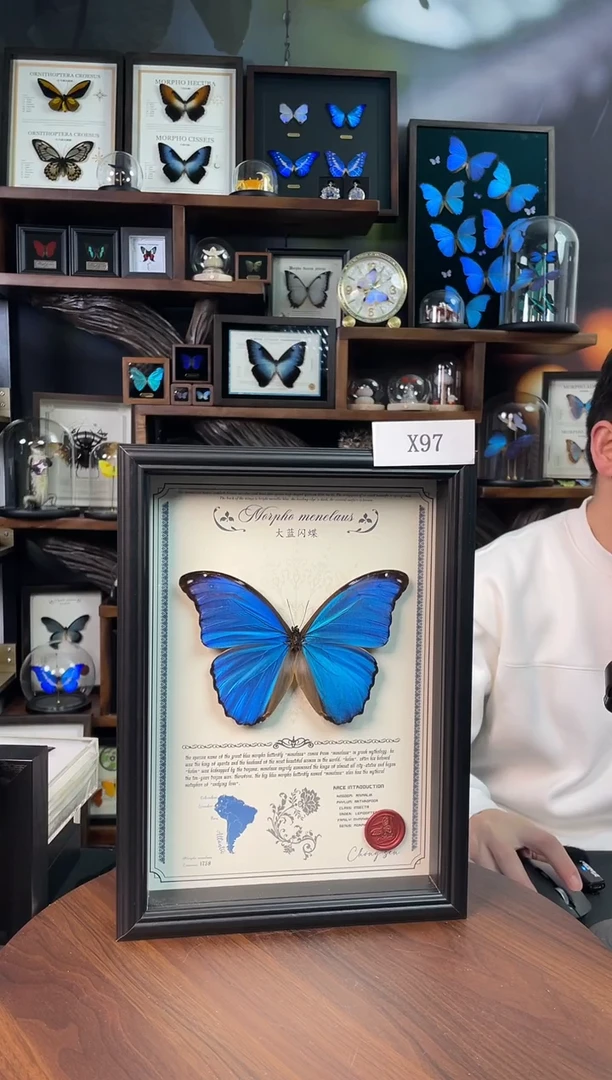 大蓝闪蝶-豪华版【A4欧式框】X97