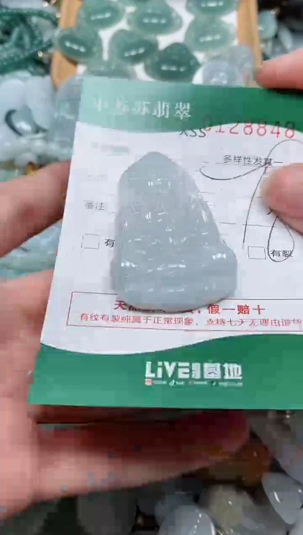 【闪购商品】翡翠颈饰未镶嵌闪购商品0128848