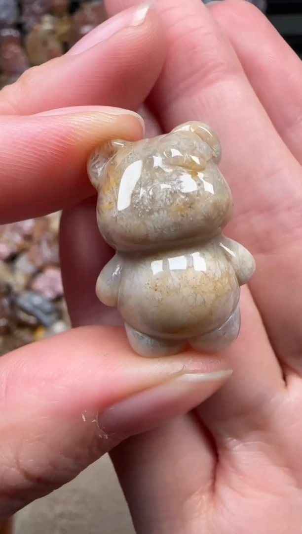 颈饰未镶嵌硅化珊瑚（珊瑚玉）815