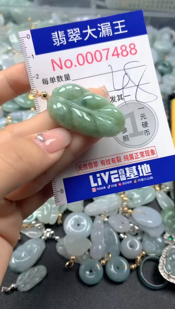 颈饰未镶嵌翡翠7488