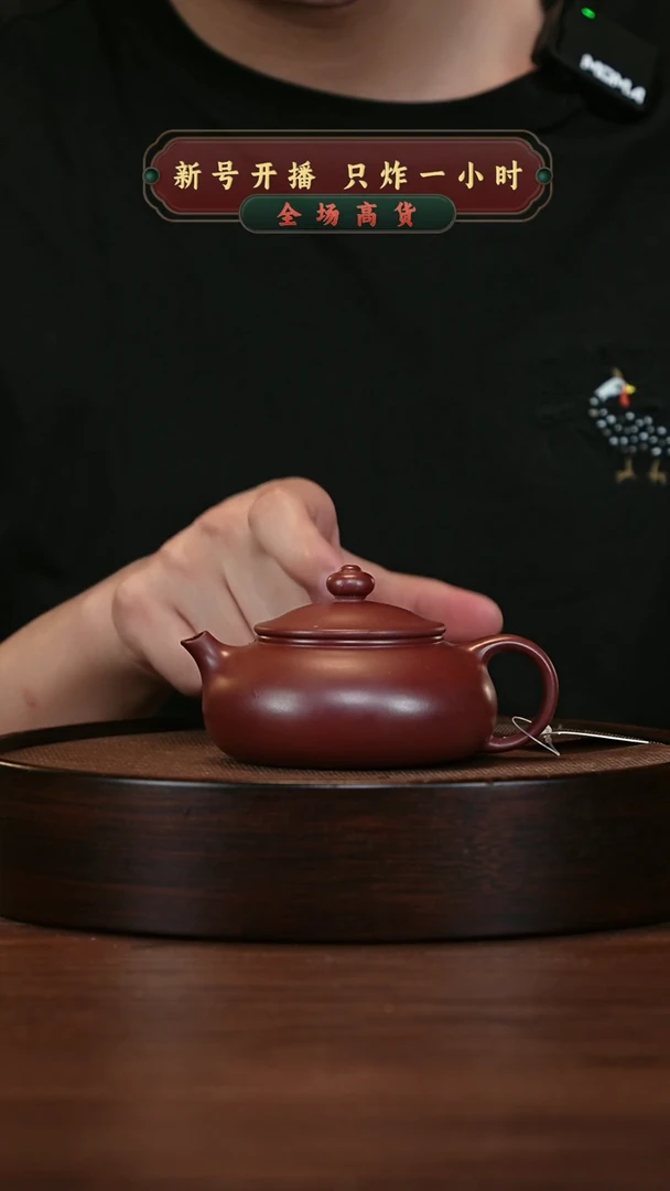 【闪购商品】紫砂茶壶宜兴紫砂壶H5071