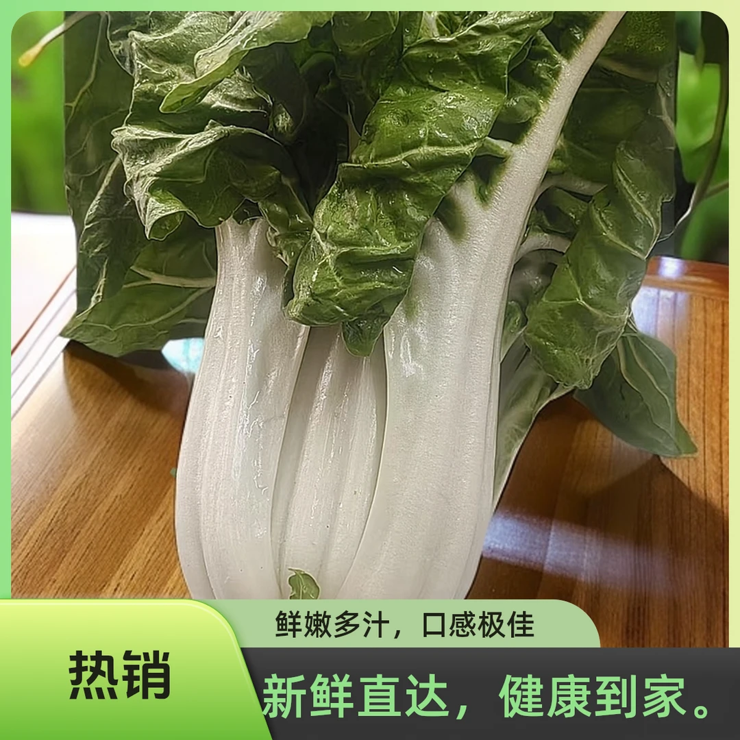 新鲜牛皮菜，高山种值、无农药残留。