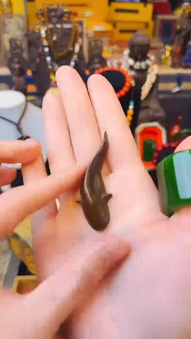 【闪购商品】大美专属宠粉链接1