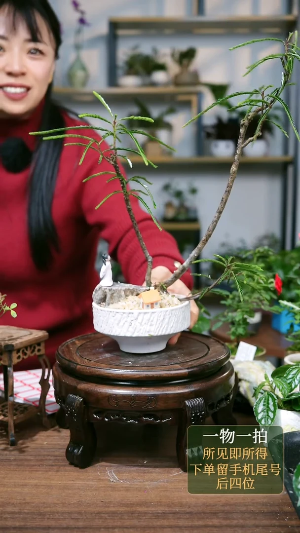 【闪购商品】75--3659开心果粉