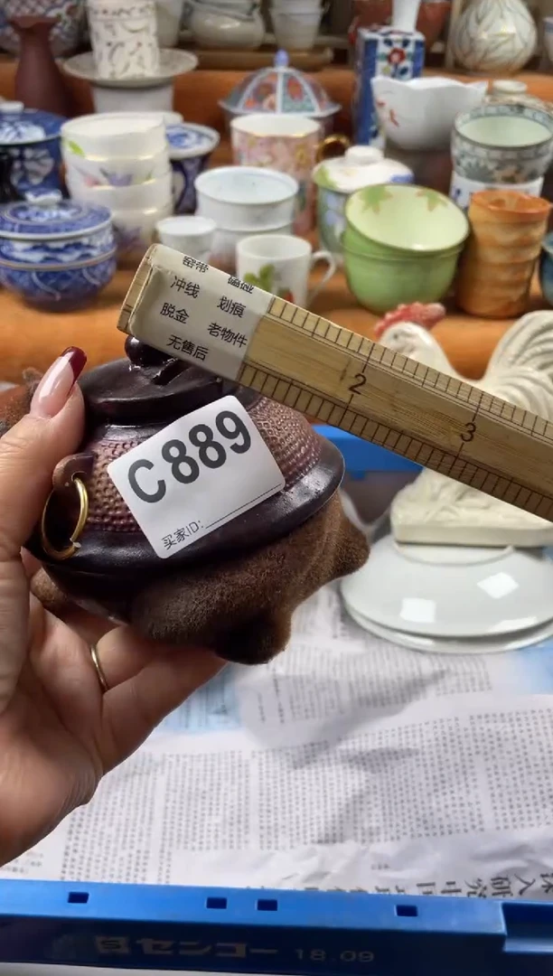 【闪购商品】C889