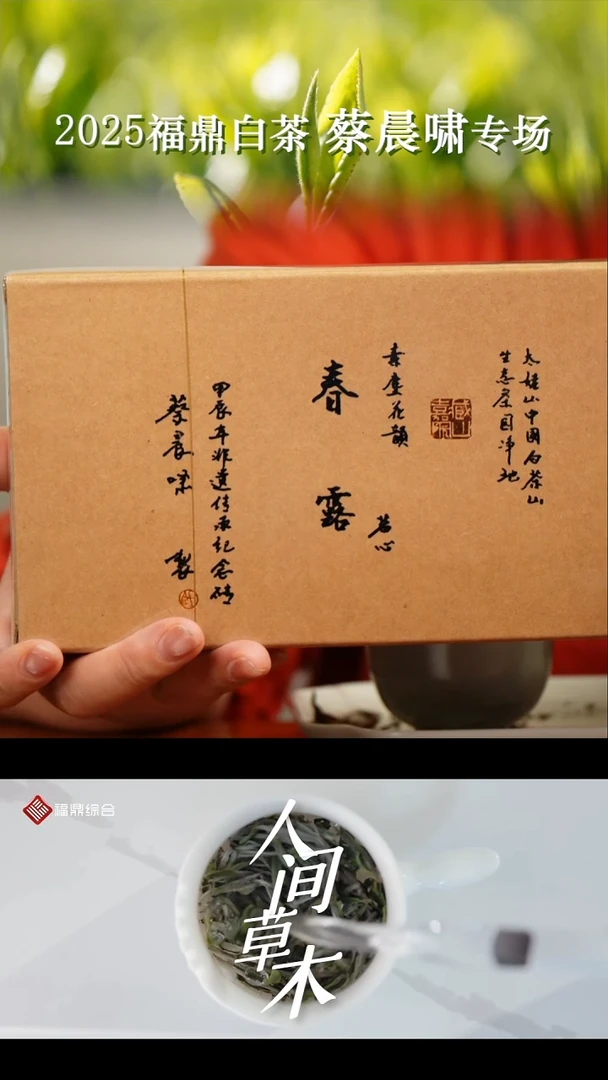 茶壶紫砂蔡晨啸 17+18+19春寿眉砖