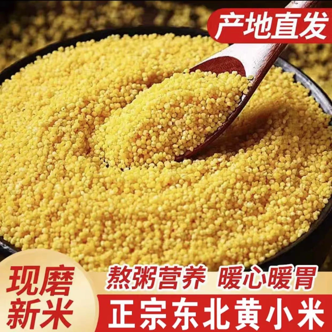 膳阁坊【5斤净重】正宗东北农家黄小米优质东北小米农民自种